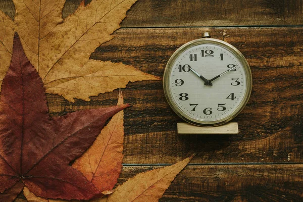 Alarm clock and autumn leaves — Stock Photo, Image