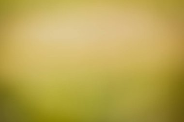 Soyut bulanık şablonu