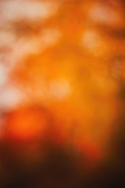 Bulanık parlak şablonu