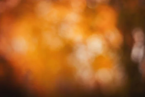 Blurred abstract orange template — Stock Photo, Image