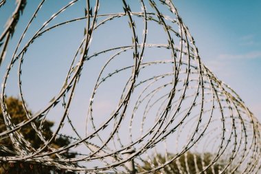 Güvenlik çit dikenli tel