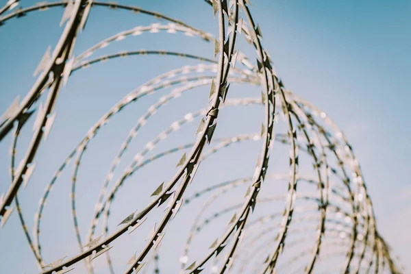 Safety fence of barbed wire — Stock Photo, Image