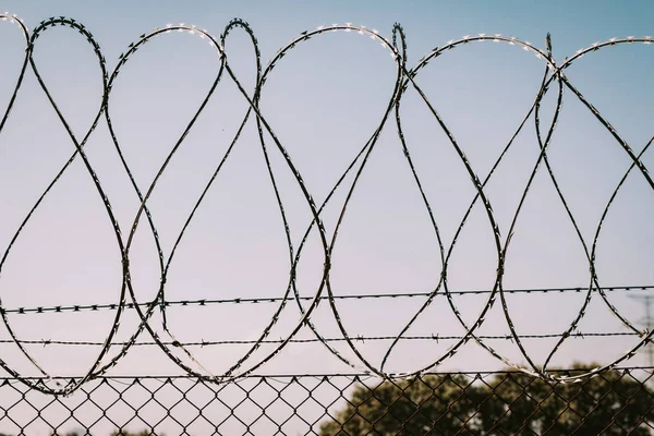 Safety fence of barbed wire — Stock Photo, Image