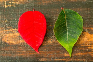 ahşap masa renkli yapraklarda