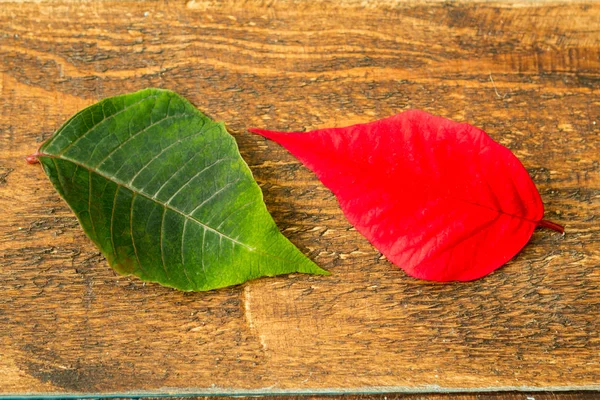 Bunte Blätter auf Holztisch — Stockfoto