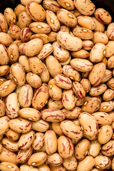 乾燥豆パターン — ストック写真