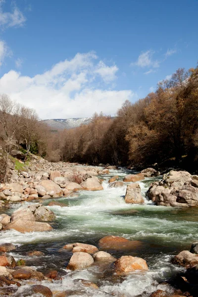 Schneller Gebirgsfluss — Stockfoto