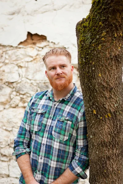 Red bearded handsome man — Stock Photo, Image