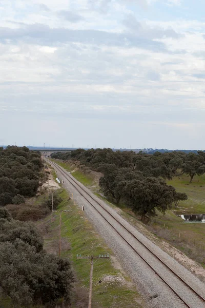Bahnstrecke auf dem Land — Stockfoto