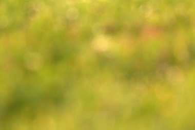 Bulanık çim şablonu