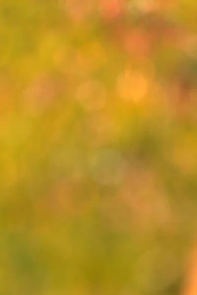 Bulanık çim şablonu — Stok fotoğraf
