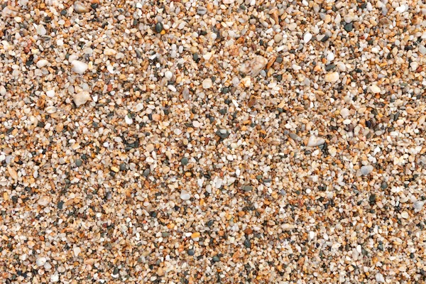 Nasse Steine am Strand — Stockfoto