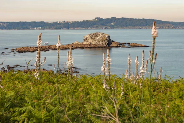 Laagwater op strand in Spanje — Stockfoto