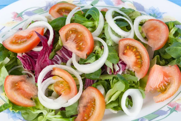 Salada com tomate, alface e cebola — Fotografia de Stock