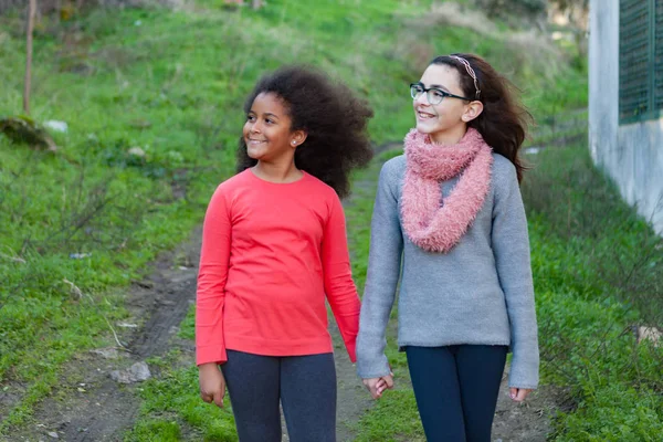 Due belle ragazze che camminano — Foto Stock