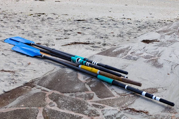 kürek kum plajındaki