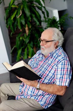 Son sınıf öğrencisi kitap okuyor.