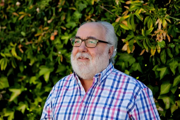 Senior man in garden — Stock Photo, Image