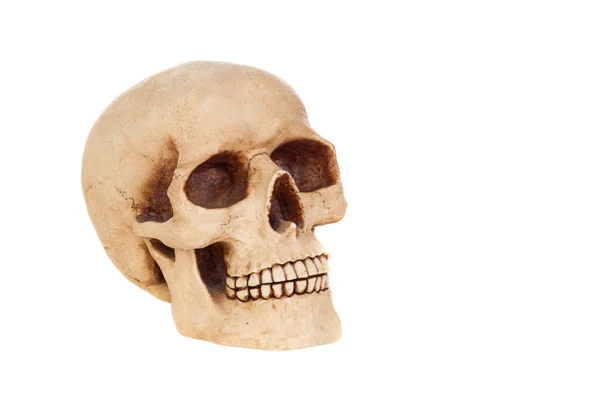 Ürkütücü insan kafatası — Stok fotoğraf