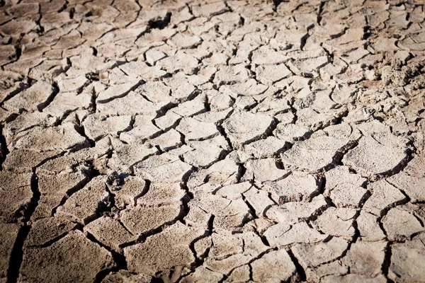 Kuraklık Küresel Isınma Belirti Kırık Toprak — Stok fotoğraf