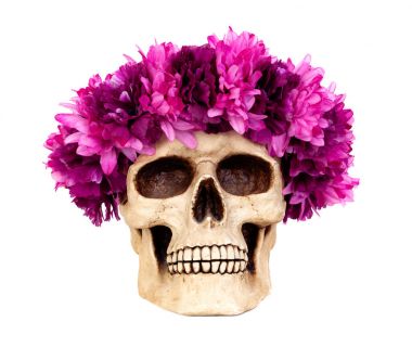 Pembe çiçek çelenk ile insan kafatası
