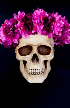 Pembe çiçek çelenk ile insan kafatası