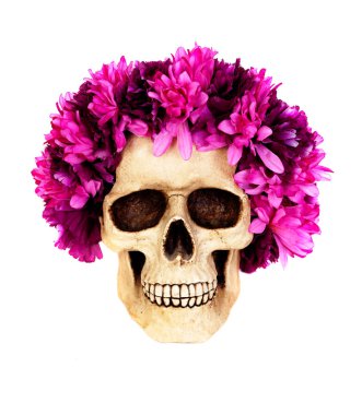 Pembe çiçek çelenk ile insan kafatası