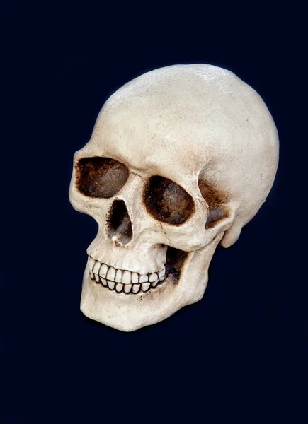Griezelige menselijke schedel — Stockfoto