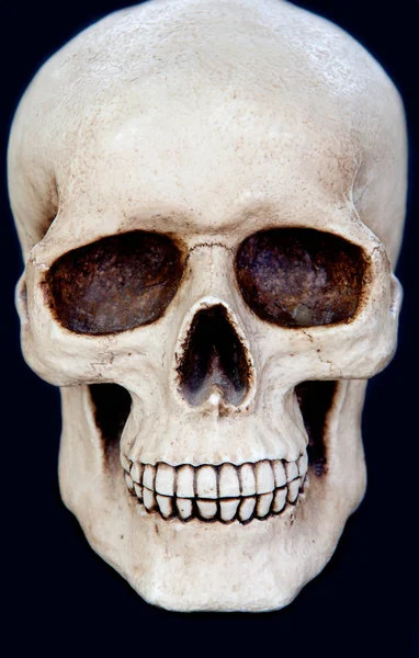 Creepy human skull — Stock Photo, Image