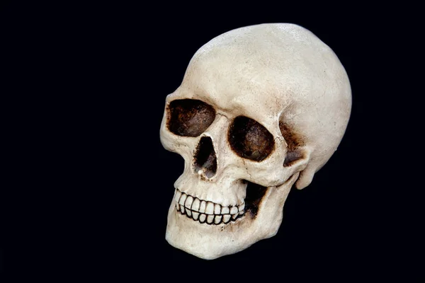 気味の悪い人間の頭蓋骨 — ストック写真
