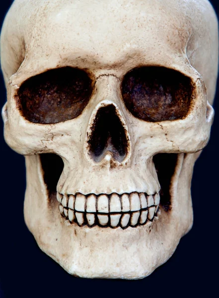 Crâne humain effrayant — Photo