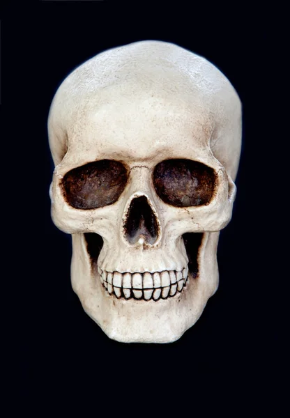 Crânio humano assustador — Fotografia de Stock