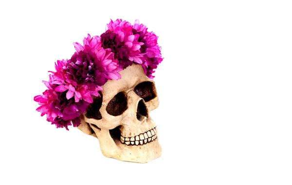 Crâne humain avec couronne de fleurs roses — Photo