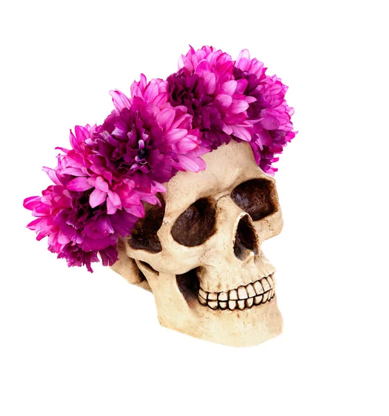 Human skull with wreath of pink flowers — Stock Photo, Image