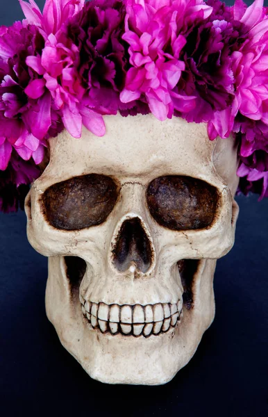 Pembe çiçek çelenk ile insan kafatası