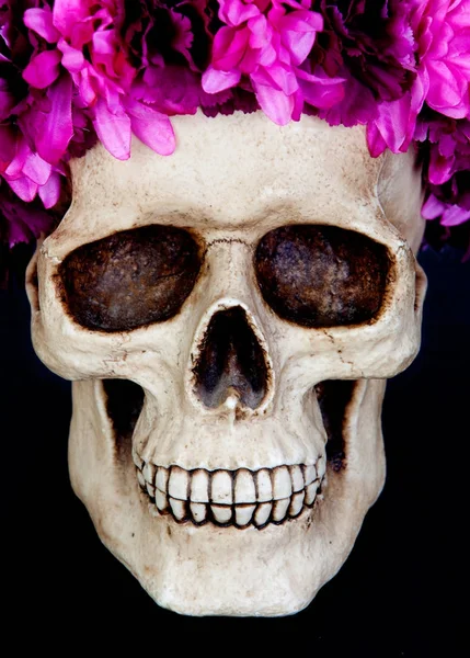 Pembe çiçek çelenk ile insan kafatası