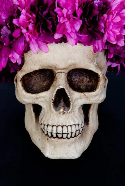 Crânio humano com grinalda de flores rosa — Fotografia de Stock