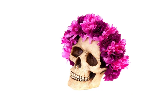 Human skull with wreath of pink flowers — Stock Photo, Image