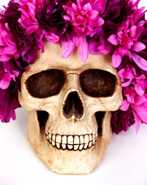 Crâne humain avec couronne de fleurs roses — Photo