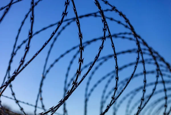 Fence Barbed Wire Blue Sky — Stock Photo, Image