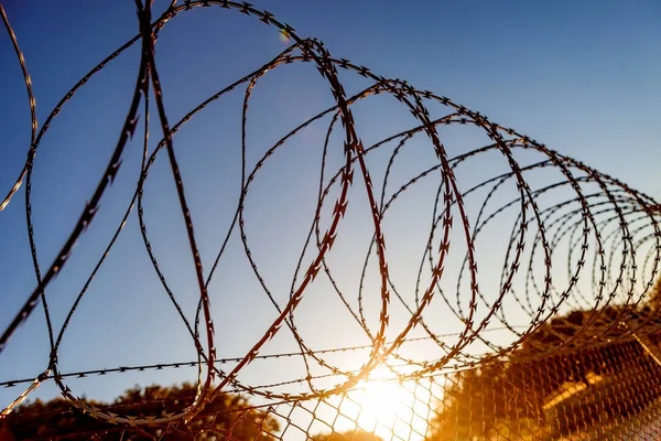 Fence with barbed wire — Stock Photo, Image