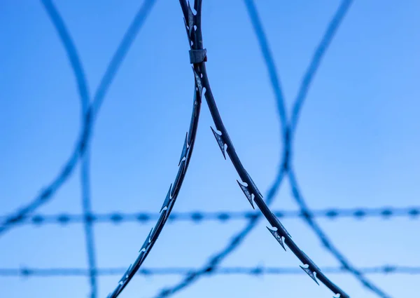 Zaun mit Stacheldraht — Stockfoto