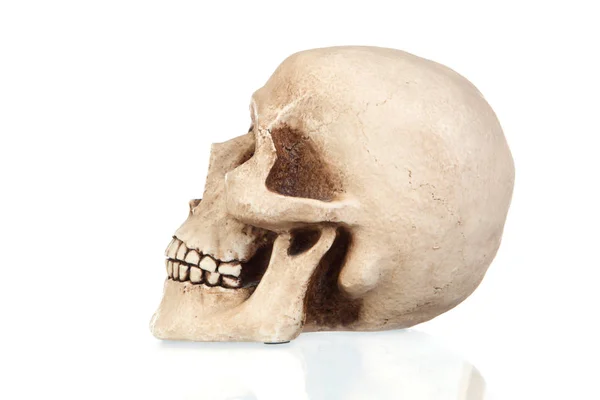 Ijesztő emberi koponya — Stock Fotó
