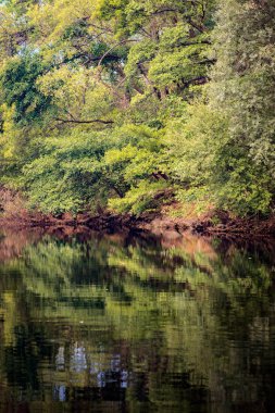 Nehir sessiz geçerli