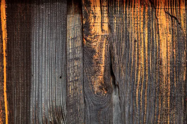 抽象的な木のテクスチャ 茶色木クローズ アップ — ストック写真