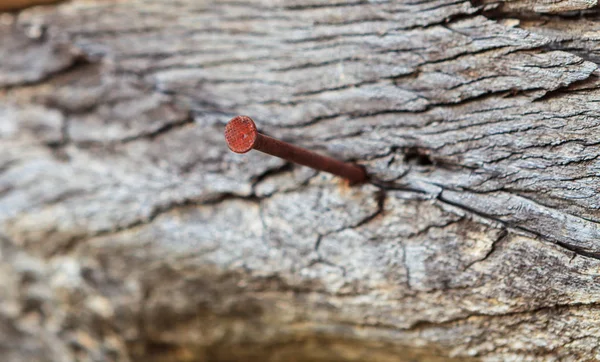Rezavý Hřebík Starém Povrchu Dřeva — Stock fotografie
