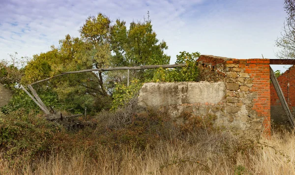 destroyed house in countryside and wild vegetation