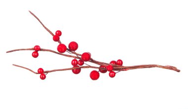 Noel dalı ile beyaz arka plan üzerinde izole kırmızı meyveler