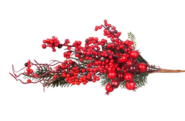 Рождественская Ветка Красными Ягодами Белом Фоне — стоковое фото