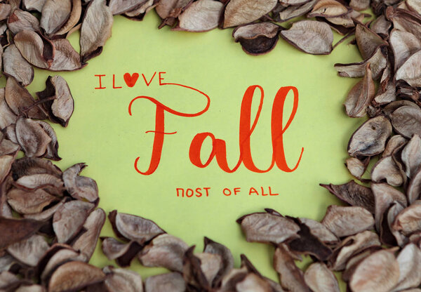 Послание "I Love FALL more of All" с множеством сухих листьев вокруг
 